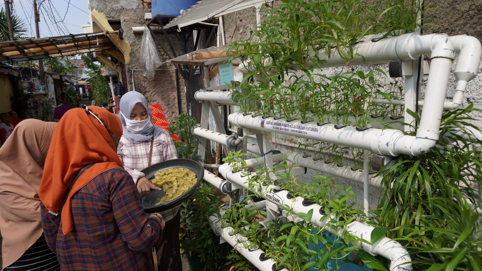 Urban Farming Solusi Bercocok Tanam Di Perkotaan Kompaspedia