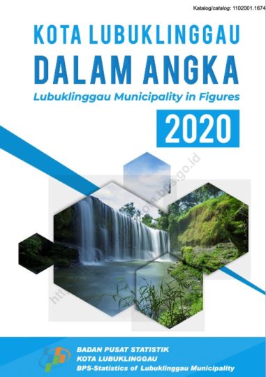 Kota Lubuklinggau Dalam Angka – Kompaspedia