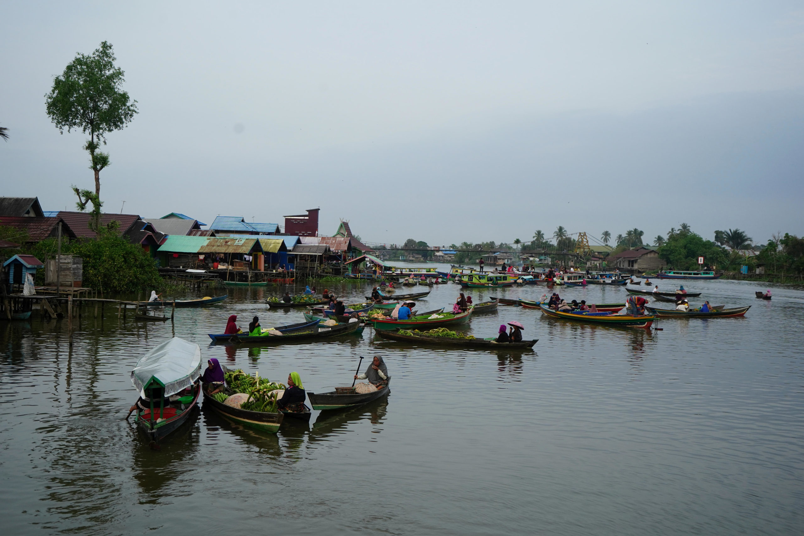 Provinsi Kalimantan Selatan – Kompaspedia