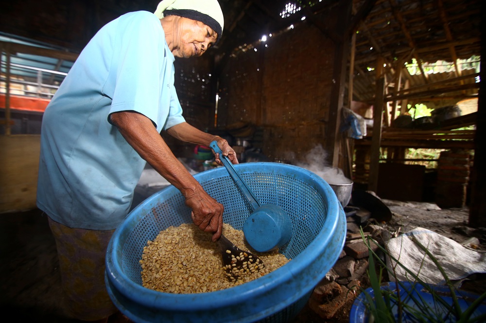 Kedelai: Sejarah, Manfaat, Produksi Dunia Dan Indonesia – Kompaspedia