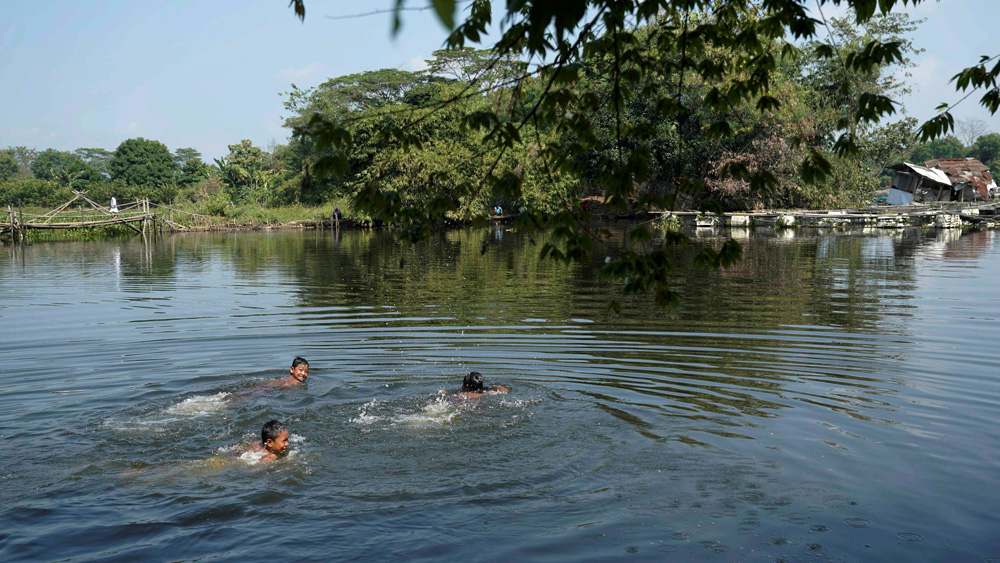 Kabupaten Karawang: Lumbung Padi Yang Jadi Kawasan Industri Terbesar ...